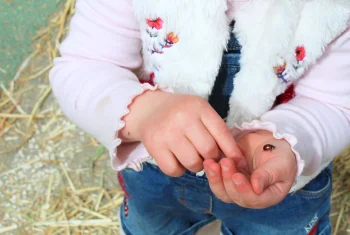 👀 Ouvrir grand les yeux : 5 activités pour observer la nature avec les tout-petits