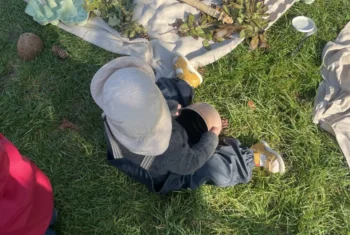 🌸 Printemps : 4 idées de la communauté pour explorer la nature à hauteur de tout-petits