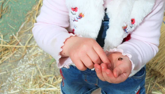 đ Ouvrir grand les yeux : 5 activitĂ©s pour observer la nature avec les tout-petits