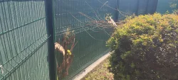 Photo du matériel