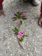 Photo du matériel