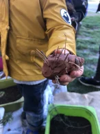 Photo du matériel